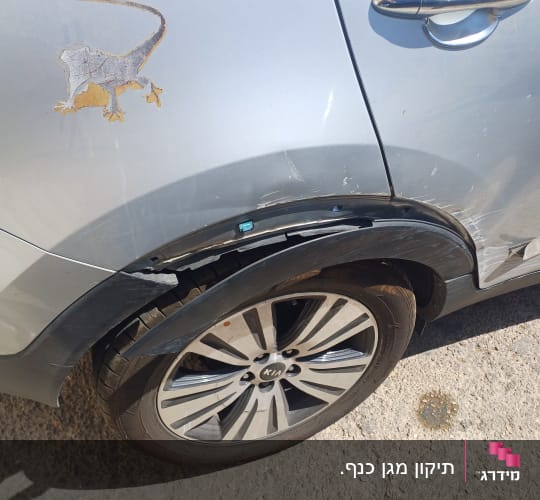 פגוש רכב פגום עם מדבקת לטאה על הכנף האחורית
